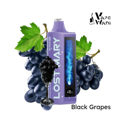 Lost Mary MO20,000 PRO Disposable Vape - Black Grape