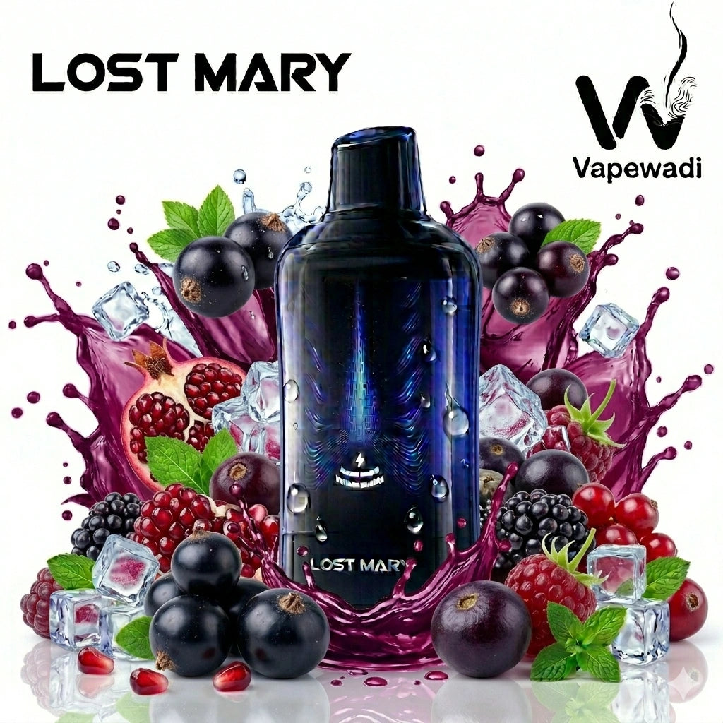 Lost Mary VIZ 40000 Puffs Disposable Vape – Blackcurrant Pomegranate Berry | Riyadh Delivery